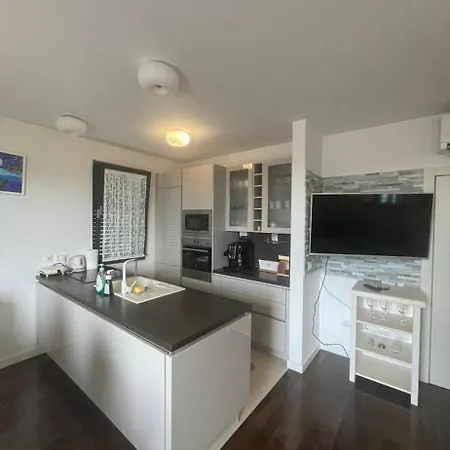 Apartament Deluxe With Garage,